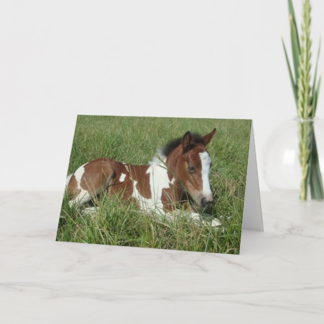 Card - Horse Portrait (Front)