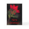 Card / Indian Paintbrush / Christmas