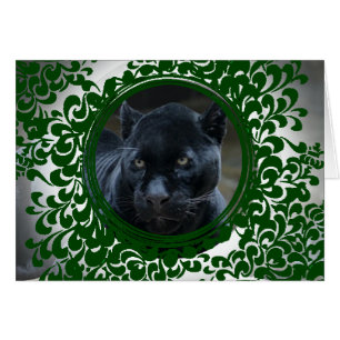 Card-Jaguar - Toutes les occasions