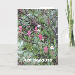 card: Just Because Card