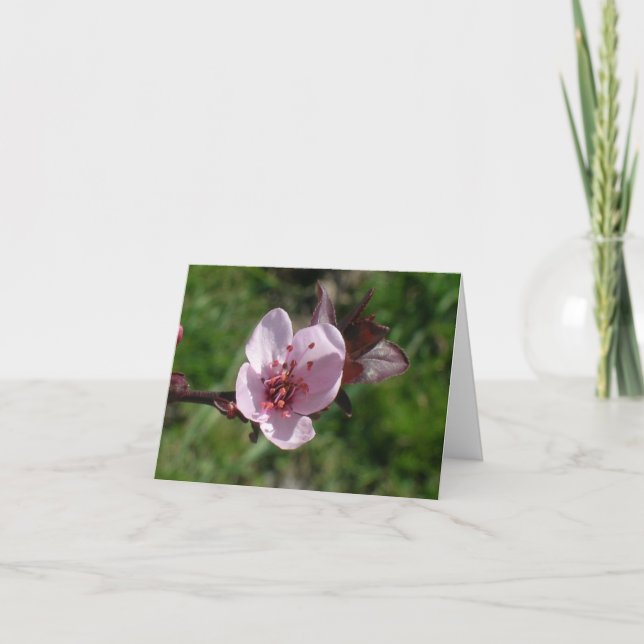 Card - note - Pink Bloom (Front)