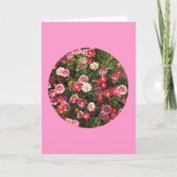 Card, "Painted Daisies in a Circle" F-1