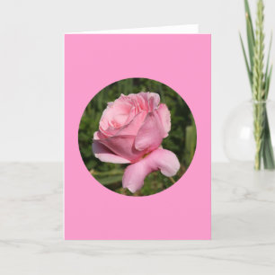 Card, "Pink Rose in Circle" N-1 Card