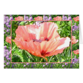 Card - Poppy Popped!