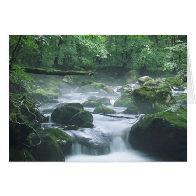 CARD - RIVER (Front Horizontal)