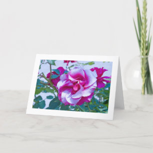 Card, Rose #232 Card