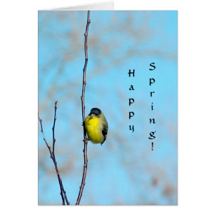 Card - Spring Finch