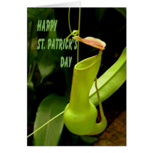 Card St. Patrick's Day with Pipe Plant Green