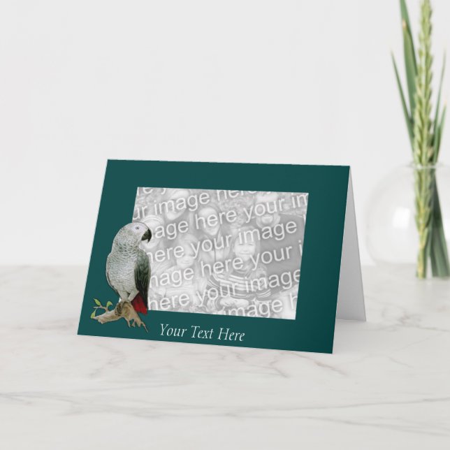 Card Template - African Gray Parrot (Front)