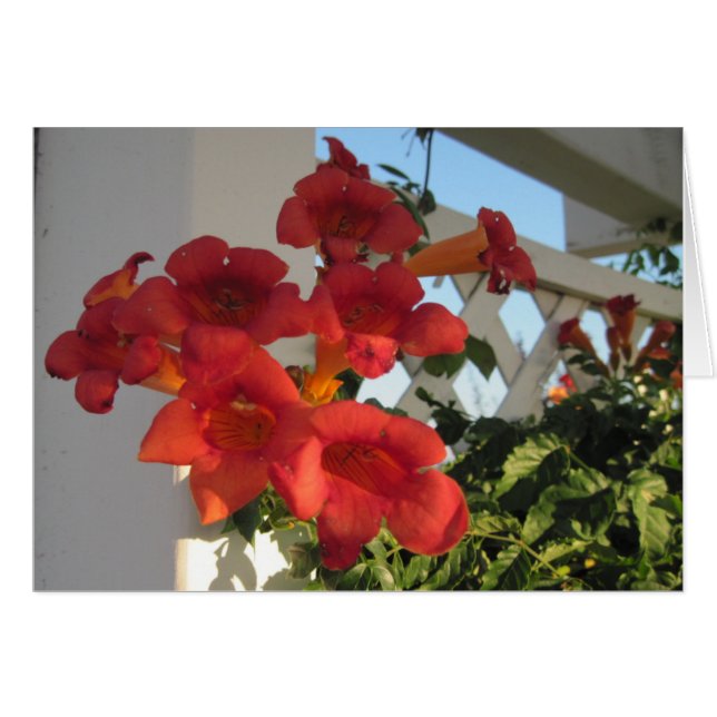 Card to Comfort a Bereaved Person on a Special Day (Front Horizontal)