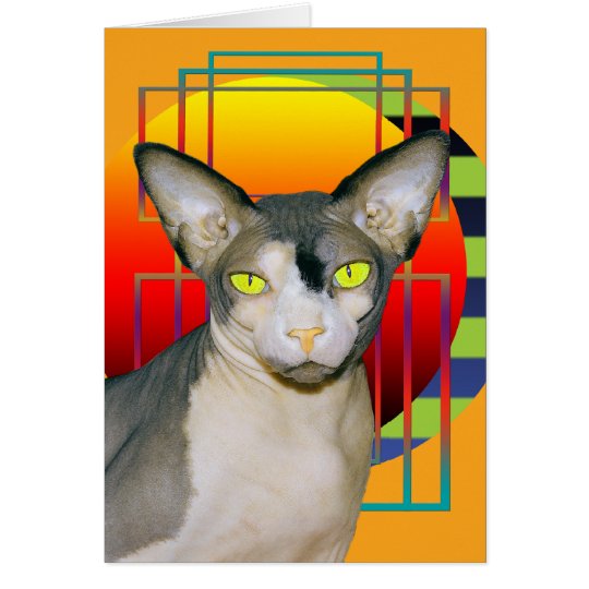 Card | Vamp Sphynx Cat (Orange)
