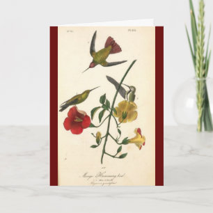 Card - Vintage "Mango Humming Bird" friend
