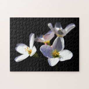 Cardamine Pratensis Flowers 11x14 252pc jpcna Jigsaw Puzzle