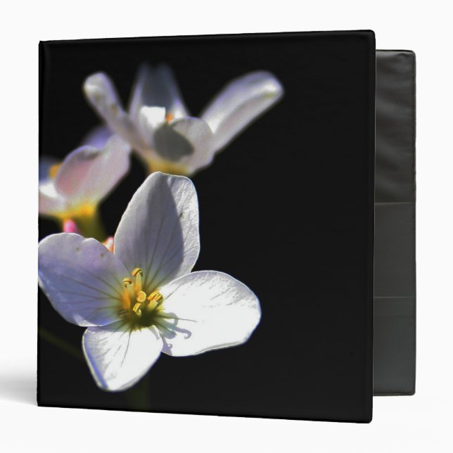 Cardamine Pratensis Flowers rbcnm Binder (Front/Inside)