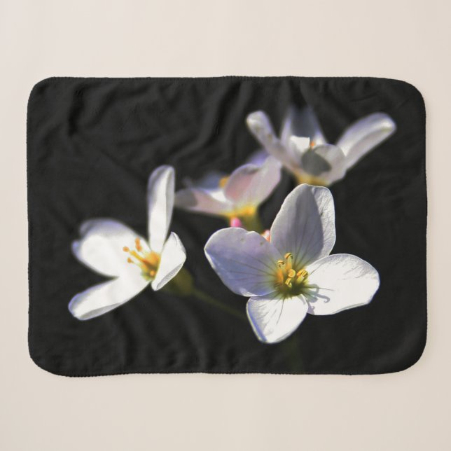 Cardamine Pratensis Flowers sbcna Sherpa Blanket (Front (Horizontal))