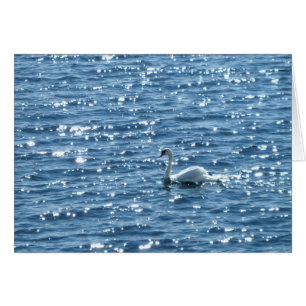 Cardiff Bay, Cardiff, Wales