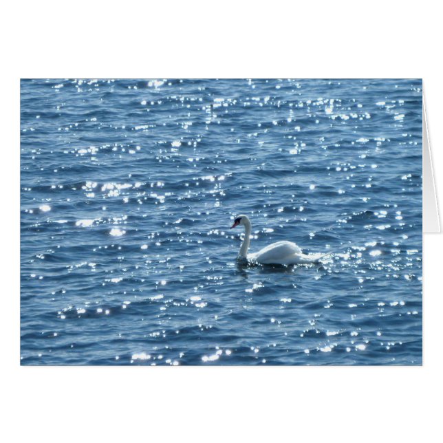 Cardiff Bay, Cardiff, Wales (Front Horizontal)