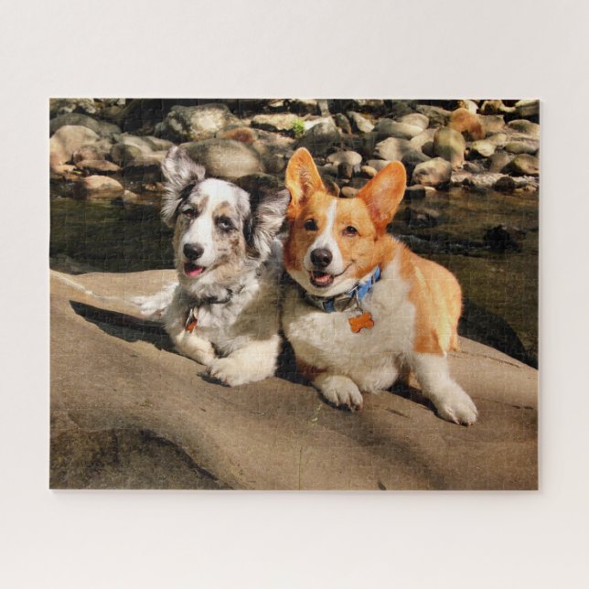 Cardigan and Pembroke Welsh Corgis Jigsaw Puzzle (Horizontal)