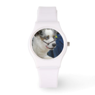 Cardigan Welsh Corgi Dog Watch