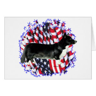 Cardigan Welsh Corgi Patriot