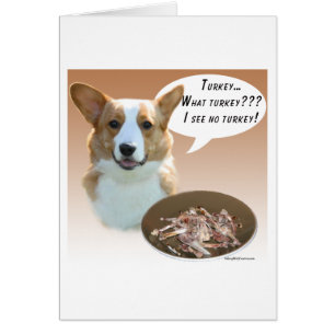 Cardigan Welsh Corgi Turkey