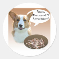 Cardigan Welsh Corgi Turkey