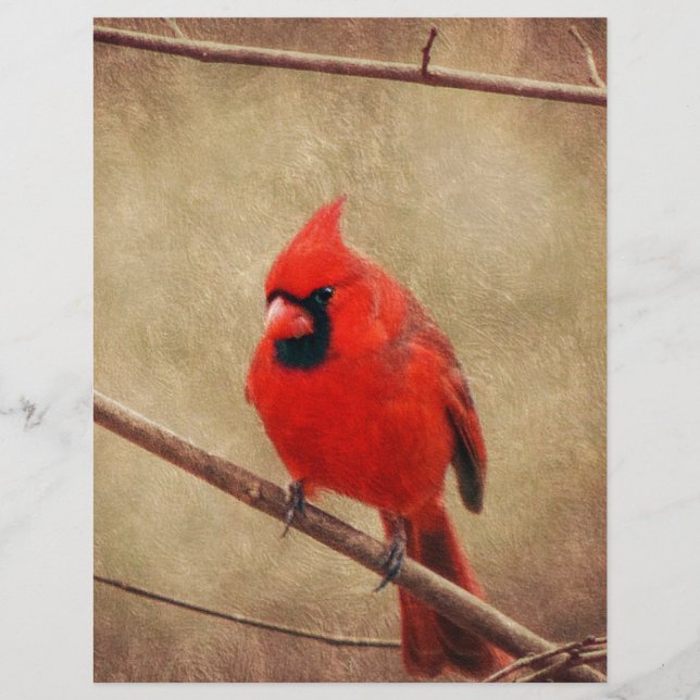 Cardinal (Front)
