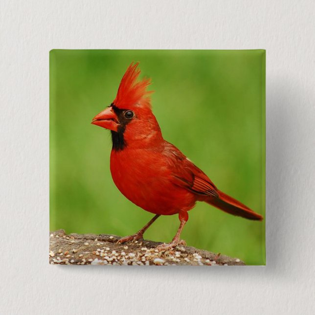 Cardinal 2 Inch Square Button (Front)