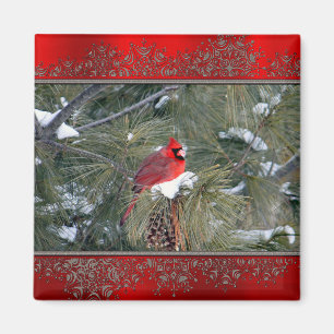Cardinal 3097 Frame Magnet