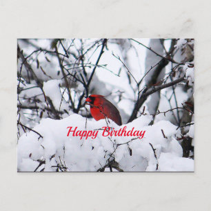 Cardinal 6216 Birthday Postcard