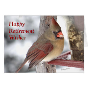 Cardinal 6649 xc - customize