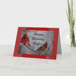 Cardinal 9191 fv- customize for any occasion card