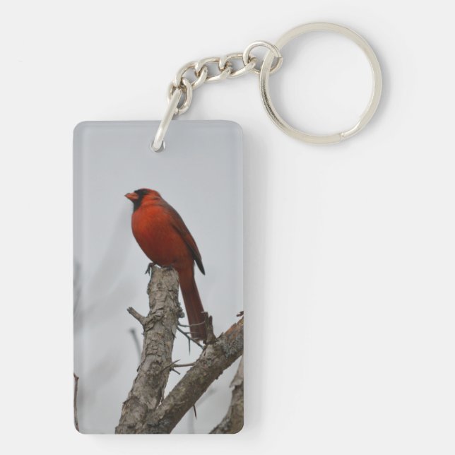 cardinal a top the tree. keychain (Back)
