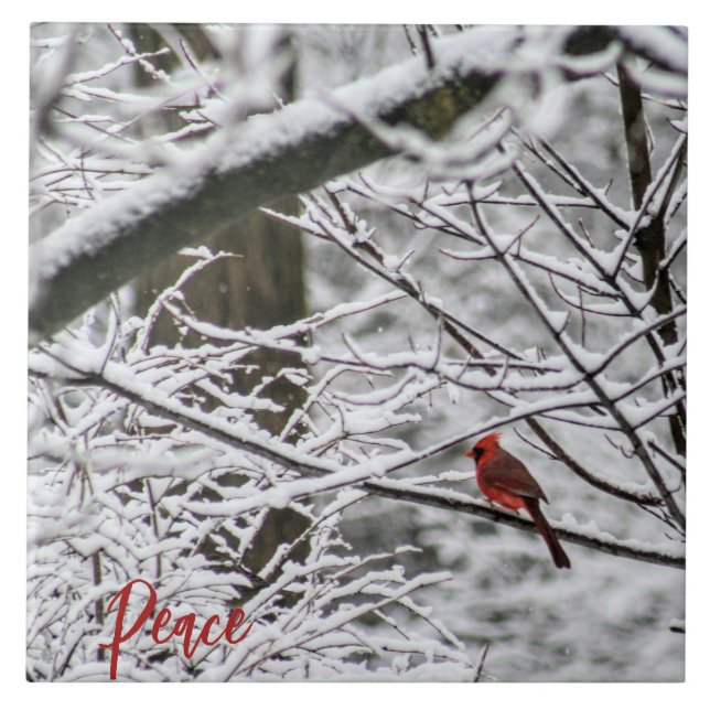 Cardinal among snowy branches tile (Front)