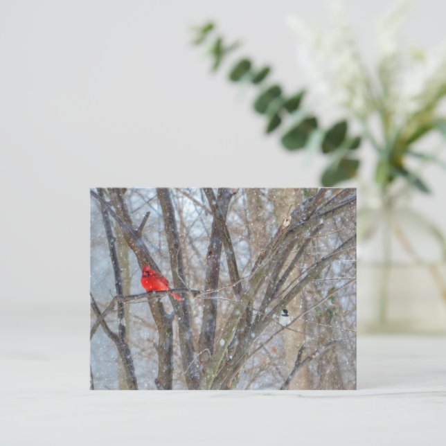 Cardinal and Chickadee Postcard (Standing Front)