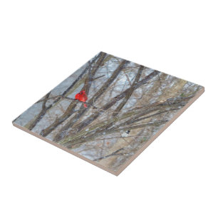 Cardinal and Chickadee Tile