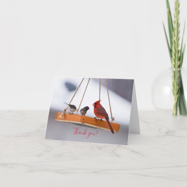 Cardinal and Juncos Thank You Card (Front)