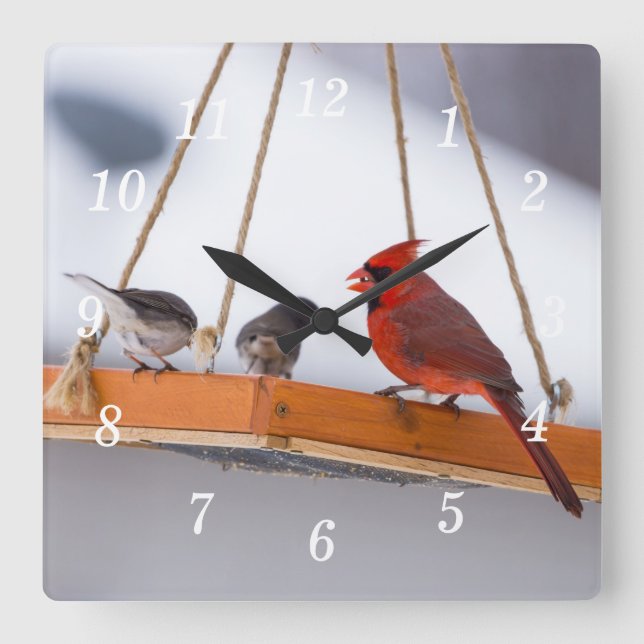 Cardinal and Juncos Wall Clock (Front)