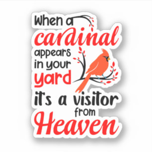 Cardinal Appears In Your Yard It'S A Visitor From