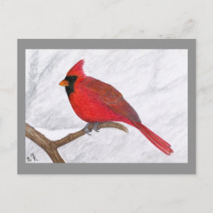 Cardinal Art Postcard