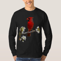 CARDINAL Best HD Northern Cardinal Bird Red Cardin