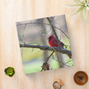 Cardinal     binder