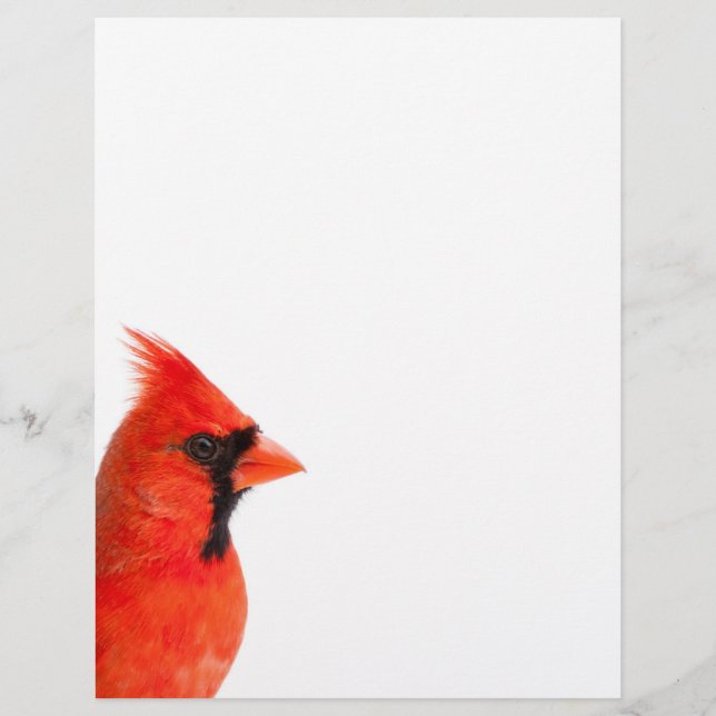 Cardinal Bird (Front)