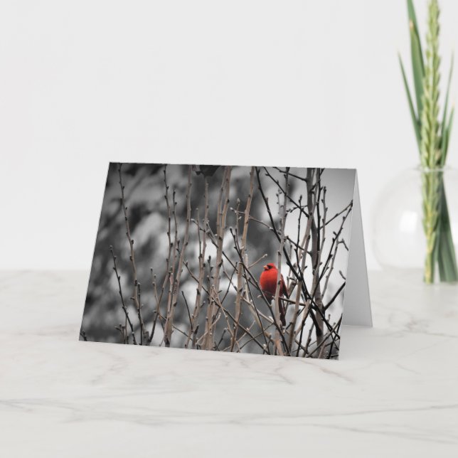 Cardinal bird, card (Front)