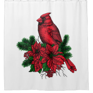 Cardinal bird, Christmas illustration
