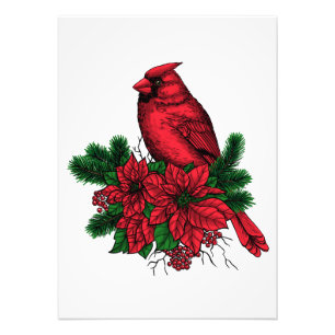 Cardinal bird, Christmas illustration Photo Print