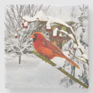 Cardinal Bird in the Snow Stone Coaster