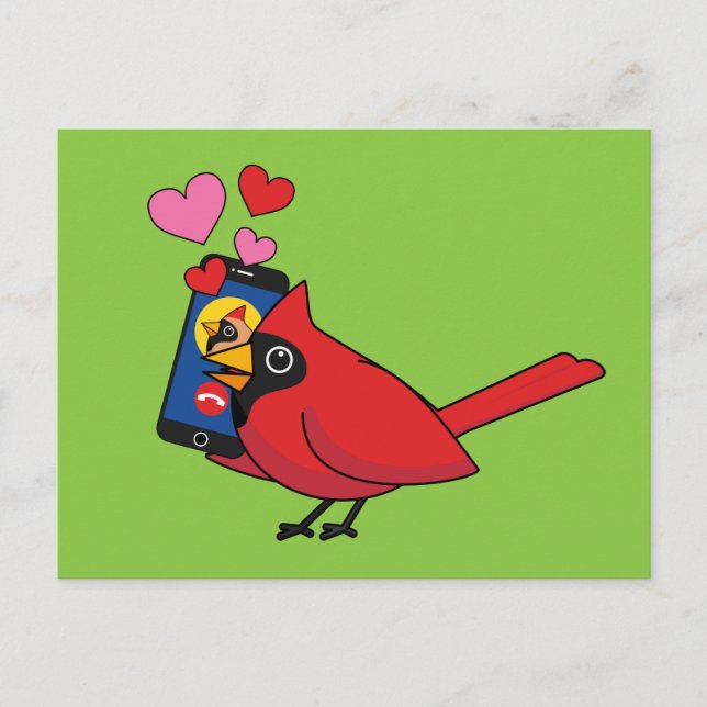 Cardinal Bird Love Mating Calls Postcard (Front)