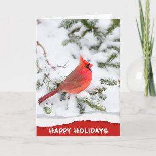 Cardinal Bird on Snow Custom Happy Holidays Card