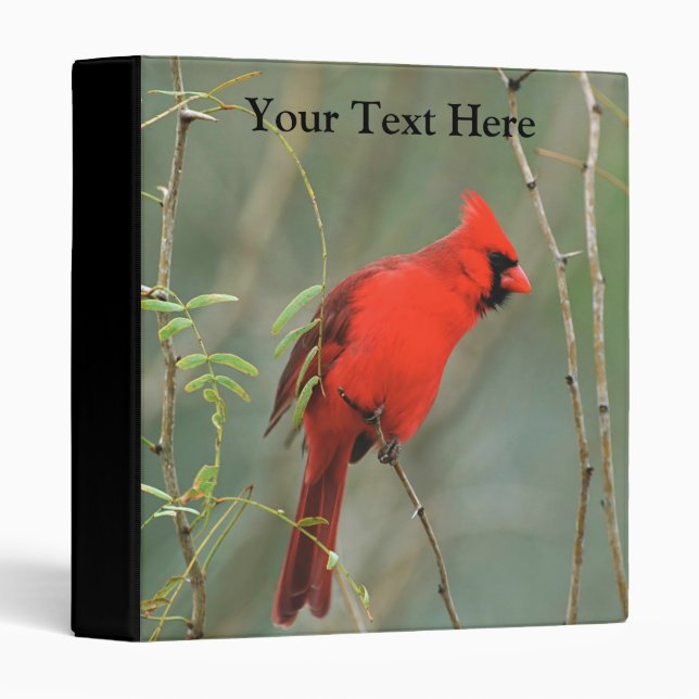 Cardinal Bird Photo Binder (Front/Spine)